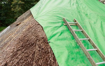 maintaining Newtownabbey thatch