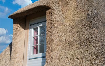 Newtownabbey thatch roof disadvantages