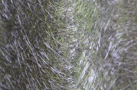 Newtownabbey fibreglass roof work